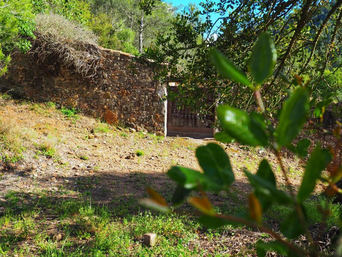 Els Orgues De Benitandus Villa Alcudia de Veo Exterior photo